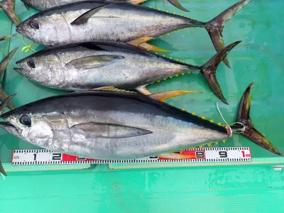 安延遊漁 建鳳丸の2026年3月22日(日)3枚目の写真