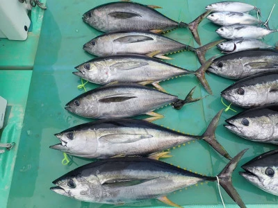 安延遊漁 建鳳丸の2026年3月22日(日)4枚目の写真