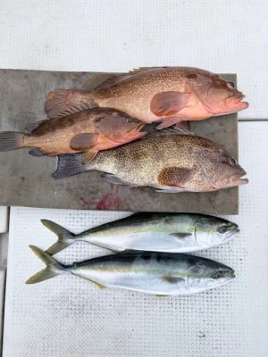 竜洞丸の2026年3月22日(日)1枚目の写真