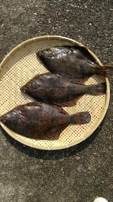 石田丸の2026年3月22日(日)1枚目の写真