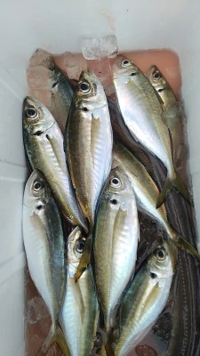 石田丸の2026年3月25日(水)1枚目の写真