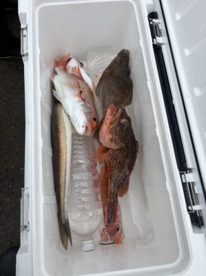 フィッシングセンター 海友の2026年3月15日(日)1枚目の写真