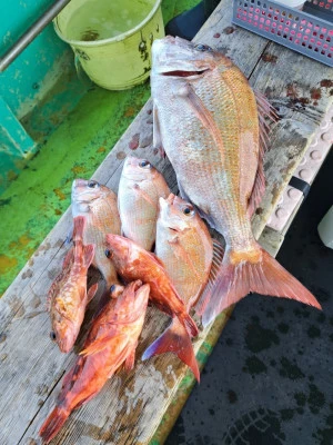 小島丸の2026年3月21日(土)5枚目の写真