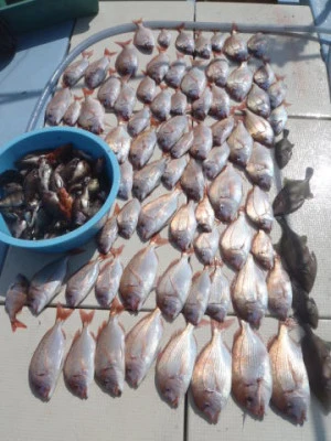 まお丸の2026年2月22日(日)1枚目の写真