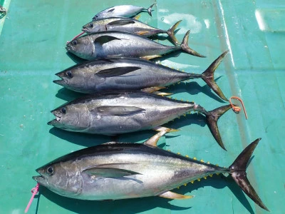 安延遊漁 建鳳丸の2026年3月27日(金)3枚目の写真