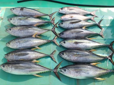 安延遊漁 建鳳丸の2026年3月28日(土)3枚目の写真