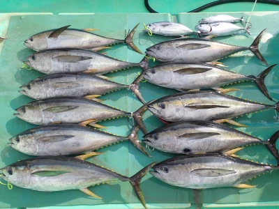 安延遊漁 建鳳丸の2026年3月29日(日)3枚目の写真