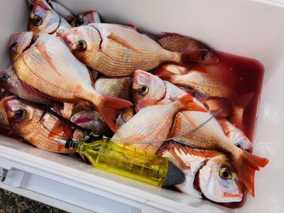 太幸丸の2026年3月30日(月)2枚目の写真