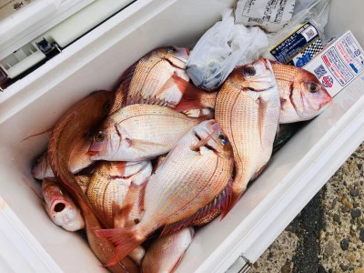 太幸丸の2026年3月30日(月)3枚目の写真