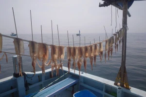 釣り船 秀進丸の2026年3月28日(土)4枚目の写真