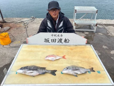 坂田渡船の2026年3月29日(日)2枚目の写真