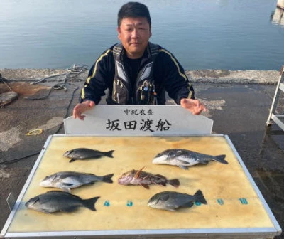 坂田渡船の2026年3月28日(土)3枚目の写真