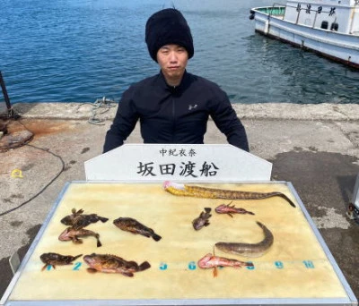 坂田渡船の2026年3月26日(木)2枚目の写真