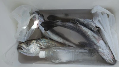 海斗の2026年3月26日(木)2枚目の写真