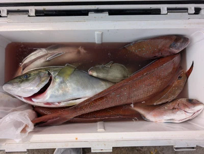 ヨシダマリンの2026年3月29日(日)2枚目の写真