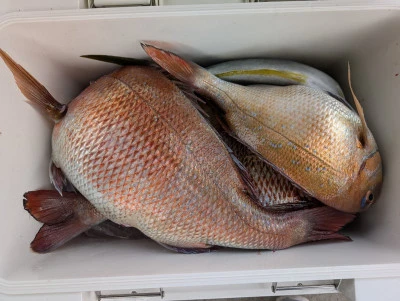 ヨシダマリンの2026年3月29日(日)3枚目の写真