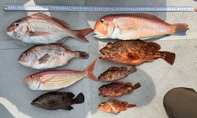 ヨシダマリンの2026年3月29日(日)4枚目の写真