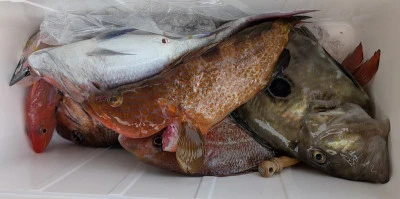 ヨシダマリンの2026年3月28日(土)4枚目の写真