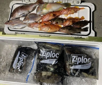 ヨシダマリンの2026年3月28日(土)5枚目の写真