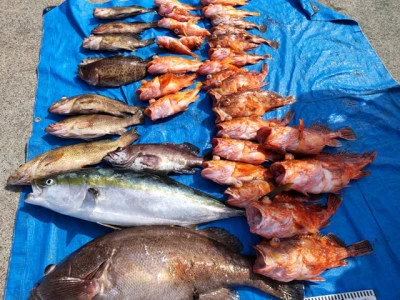 裕徳丸の2026年3月28日(土)2枚目の写真