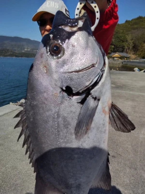裕徳丸の2026年3月21日(土)1枚目の写真