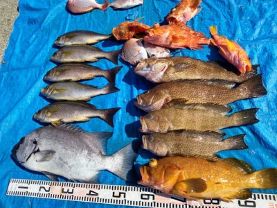 裕徳丸の2026年3月21日(土)2枚目の写真