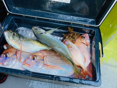 太幸丸の2026年4月3日(金)5枚目の写真