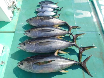 安延遊漁 建鳳丸の2026年4月3日(金)2枚目の写真