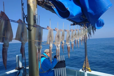 釣り船 秀進丸の2026年4月3日(金)2枚目の写真