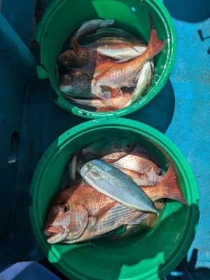 宮田丸の2026年4月6日(月)3枚目の写真