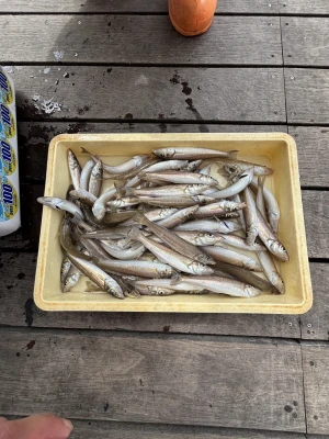 荒川屋の2026年4月6日(月)5枚目の写真