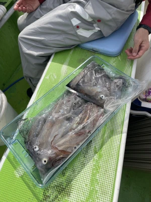 たいぞう丸の2026年4月6日(月)4枚目の写真
