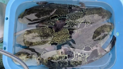 優誠丸の2026年4月7日(火)1枚目の写真