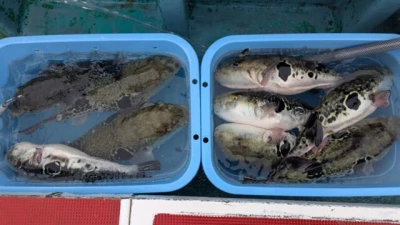 優誠丸の2026年4月7日(火)2枚目の写真