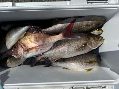 釣り船 黒潮丸の2026年4月8日(水)1枚目の写真