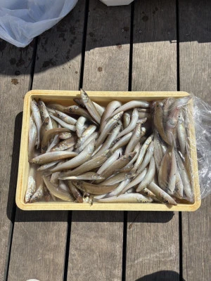 荒川屋の2026年4月8日(水)5枚目の写真