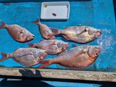 宮田丸の2026年4月8日(水)3枚目の写真