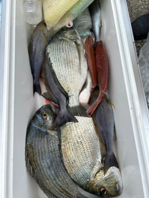 釣り船 黒潮丸の2026年4月9日(木)3枚目の写真