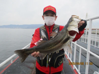 尼崎市立魚つり公園の2026年4月9日(木)1枚目の写真