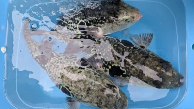 優誠丸の2026年4月9日(木)1枚目の写真