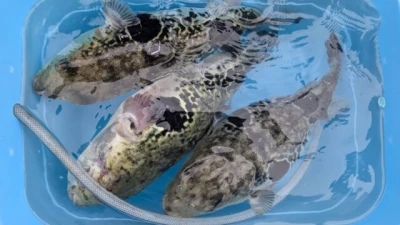 優誠丸の2026年4月9日(木)2枚目の写真