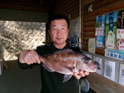 由良海つり公園&釣堀ランドの2026年4月11日(土)1枚目の写真