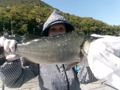 由良海つり公園&釣堀ランドの2026年4月11日(土)2枚目の写真