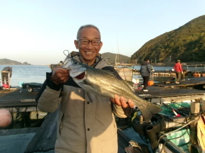 由良海つり公園&釣堀ランドの2026年4月11日(土)5枚目の写真