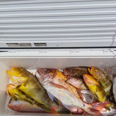 西田渡船の2026年4月12日(日)1枚目の写真