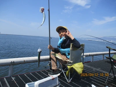 尼崎市立魚つり公園の2026年4月12日(日)1枚目の写真