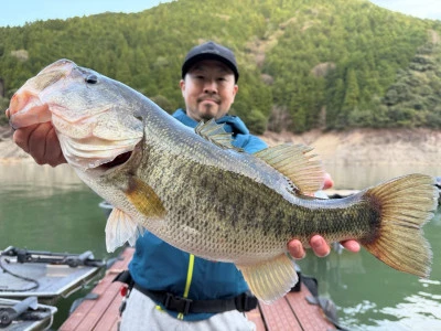 Y企画の2026年4月11日(土)2枚目の写真