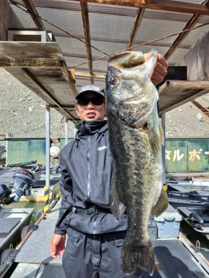 Y企画の2026年4月12日(日)1枚目の写真