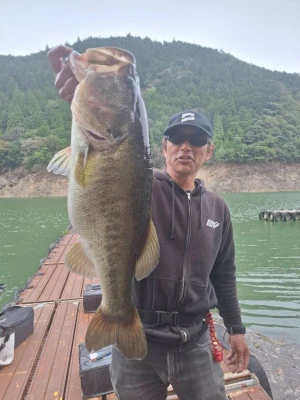 Y企画の2026年4月12日(日)2枚目の写真