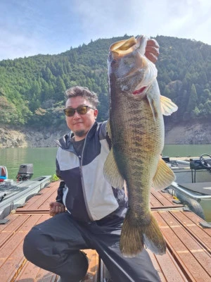 Y企画の2026年4月12日(日)3枚目の写真